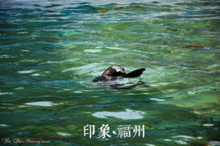 端午节三日自驾游攻略：三天两夜轻松玩转