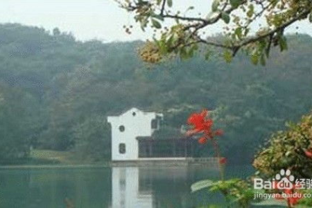上海周边端午节出游：不容错过的特色景点及活动推荐