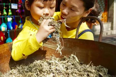 上海端午节旅游景点推荐：适合家庭出游的景点，亲子游最佳选择！