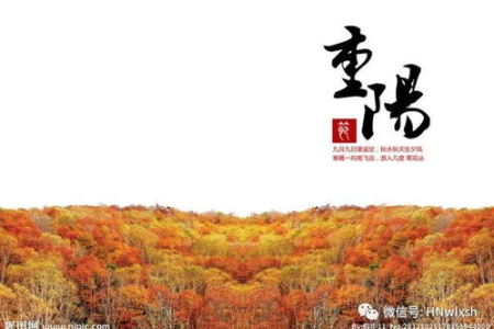 想知道重阳节是农历几月几号？重阳节的传说故事和历史渊源