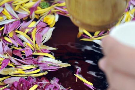 重阳节传统风俗大揭秘：登高、赏菊、吃糕点寓意是什么？