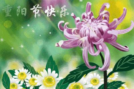 农历九月初九是重阳节吗？重阳节的农历日期及节日意义