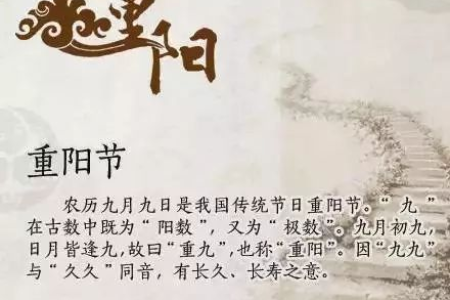 农历九月初九是重阳节，当天应该做什么？重阳节习俗大揭秘