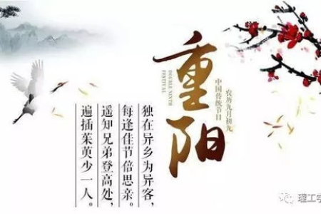 重阳节的意义和主要活动有哪些？简单易懂的节日习俗介绍