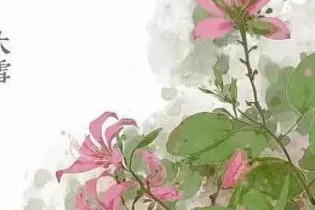 24节气是怎样预测季节变化的？它对现代人还有用吗？