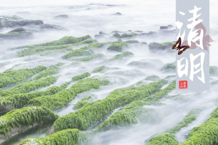 清明有什么风俗传统活动吗？祭祖踏青只是冰山一角！