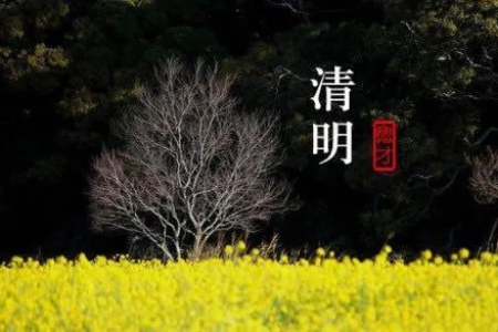 每年清明节日期为什么不一样？清明节是4月5日吗？