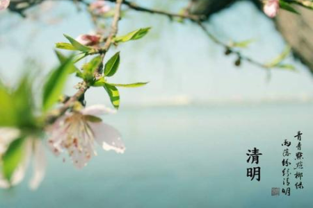 为什么清明节是阳历而不是阴历？揭秘清明节日期的背后秘密