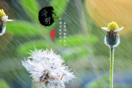 为什么清明节是公历的，而不是农历的九月十九？