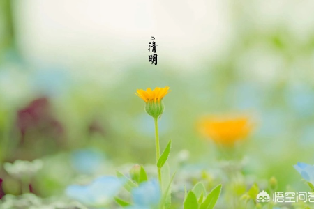 为什么清明节是公历而不是农历节日？真相在这里！