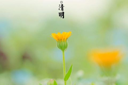 清明节是农历还是公历？日期是固定的吗？