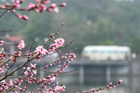 清明节在公历4月4日吗？为什么清明节的日期每年不一样？
