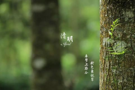 清明节是按农历还是公历算的？清明节的日期是怎么安排的？