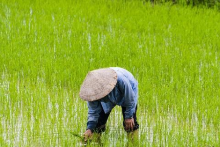 清明节：公历日期和农历日期一样吗？农历日期怎么算？