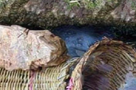 2025湖北清明高速免费？别错过！出行攻略提前看