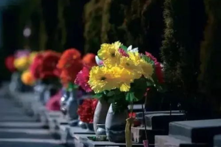 清明节都有哪些传统习俗？祭奠先人踏青玩耍，感受节日氛围