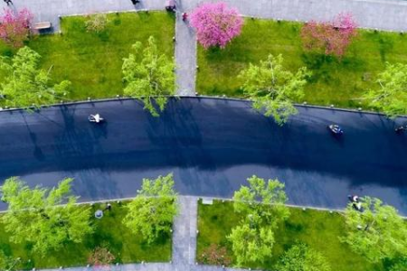 清明假期高速公路免费吗？具体免费时间和车辆规定是什么？