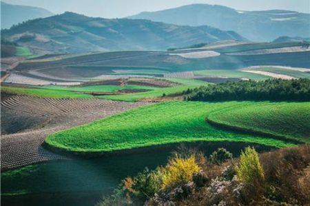 清明节高速免费吗？2025清明节高速公路免费通行政策详解