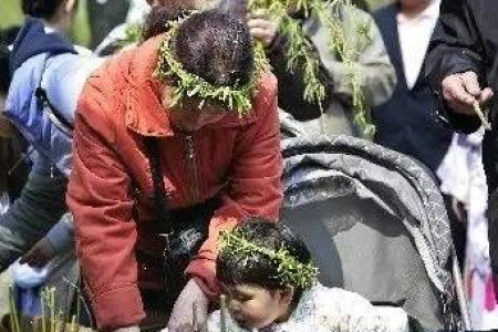 100个清明节习俗大揭秘：扫墓、插柳、踏青…你了解多少？