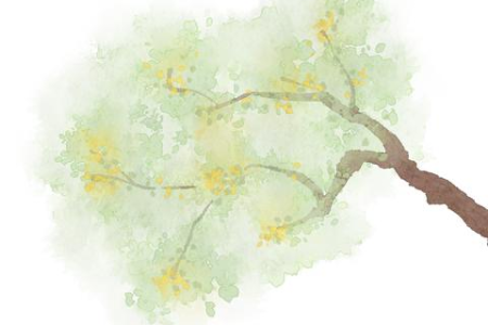清明节的风俗习惯有哪些？祭奠先人踏青赏春，还有哪些有趣习俗？
