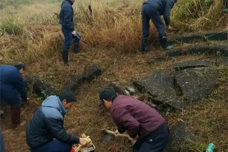 今年清明节是几月几号几点？清明节祭祖扫墓最佳时间