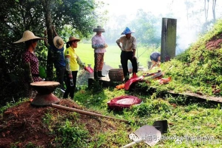 广西清明节的风俗有哪些？祭祖扫墓习俗大揭秘
