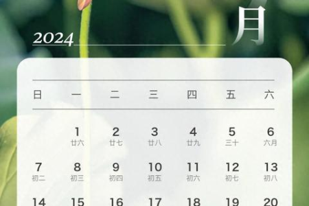 最新消息！2024年端午节高速免费时间及截止日期公布