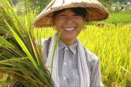 传统节日清明节按公历算，其他节日为什么用农历？
