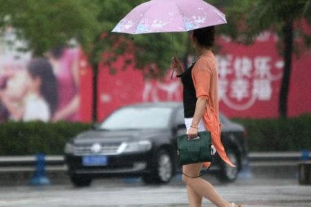 清明假期4月4日高速公路免费？出行前必看！