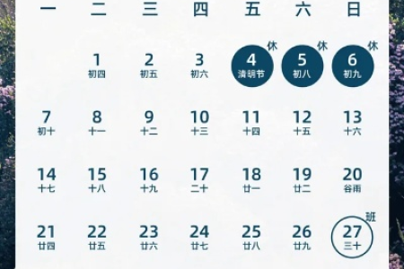 2025年小学清明假期安排：4月4日-6日，共三天假期