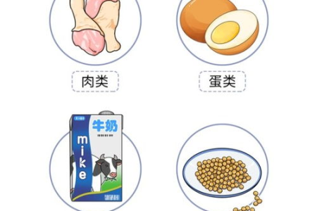 逆转90%的慢性病，吃对三大关键，修复线粒体不生病