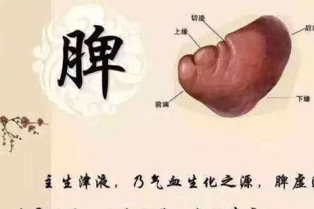 万病之源来自脾胃！这些信号提示你脾胃不好，该要调理了！