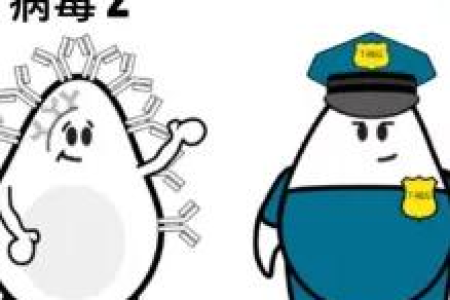 免疫力是战胜病毒的强大“武器”,保护免疫力做好这几点!