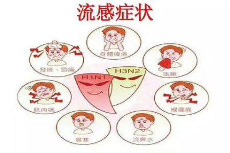 大S流感并发症离世，为无数人敲响健康警钟！这也是流感最致命的危险