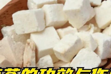 苦瓜去火反伤身？春燥≠夏火！营养师警告：这类人越喝身体越“堵”！