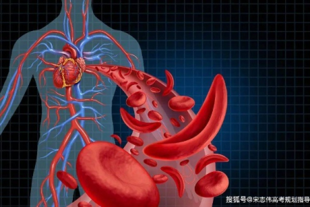 身上这3个部位痛，你的血管可能快“堵死”了！赶紧做好3件事，能救命！
