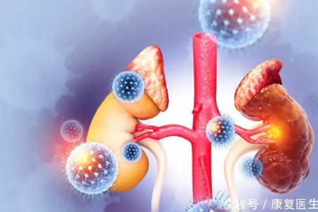 每吃一次，肾坏死就更快一步？这4种食物是肾坏死的“加速器”，你吃了吗？