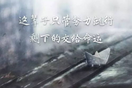 鼓励自己努力上进的句子