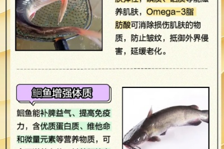鮰鱼的功效与作用是什么？哪些人不能吃？怎么吃最好？