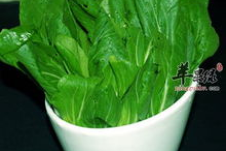 油菜的功效与作用大揭秘：营养价值、食用方法及禁忌全解析