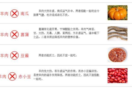 和羊肉相克的食物有哪些？避免这些食物搭配