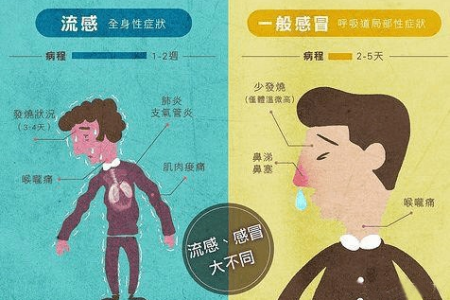 流感病毒感冒症状大全，教你快速识别和应对！