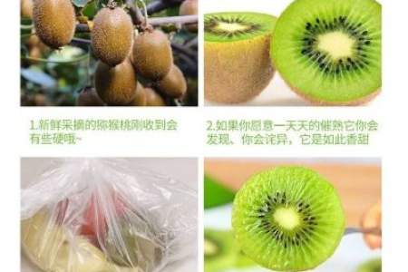 硬猕猴桃如何存放才能熟透？教你轻松催熟猕猴桃