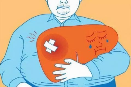 想养肝？这些补肝养肝的食物你一定要知道
