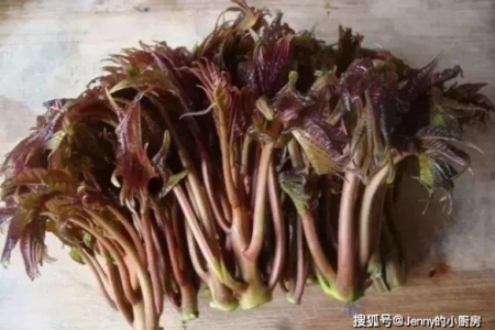 春天吃香椿，香椿的吃法与做法大全，附详细步骤图解