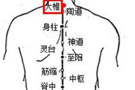 黑顺片功效与作用详解：治疗哪些疾病？