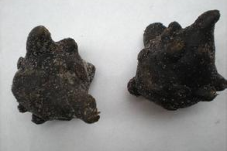 黑顺片都是黑色的吗？附子炮制后的颜色深究