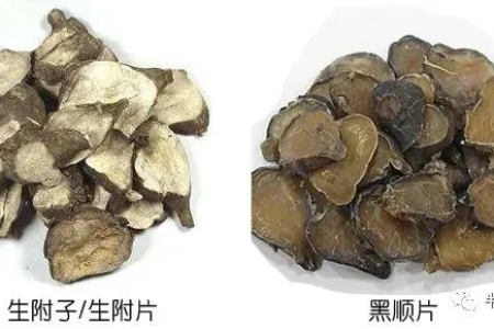 黑顺片的性状特征有哪些？附子外观鉴别详解