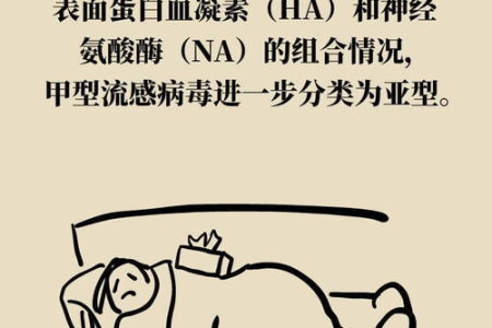 傻傻分不清甲流乙流？症状区别详解助你轻松识别