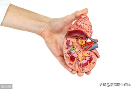 你知道肾炎的症状吗？及早发现，及早治疗！